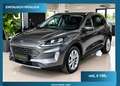 Ford Kuga Titanium Kamera Head-Up AHK Grau - thumbnail 1