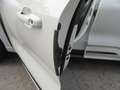 Ford Kuga Plug-In Hybrid Sound Edition Weiß - thumbnail 23