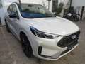 Ford Kuga Plug-In Hybrid Sound Edition Weiß - thumbnail 3