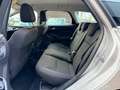 Ford Focus Wagon 1.5 TDCI Titanium Edition | Autm | Cruise | Grau - thumbnail 16