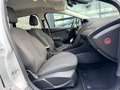 Ford Focus Wagon 1.5 TDCI Titanium Edition | Autm | Cruise | Grau - thumbnail 15