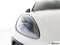 Porsche Macan Macan 2.9 GTS 380cv pdk Grigio - thumbnail 14