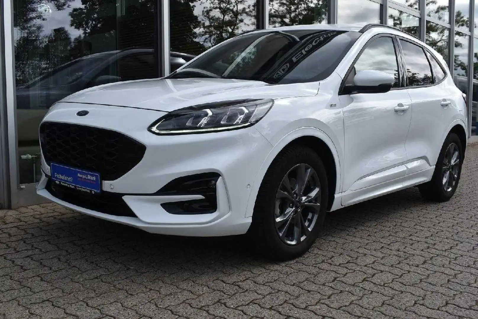 Ford Kuga ST-Line X Bianco - 2