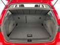 SEAT Arona Reference EcoTSI Rot - thumbnail 7