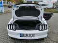 Ford Mustang Mustang Convertible Convertible 5.0 Ti-VCT V8 GT Weiß - thumbnail 28