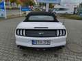Ford Mustang Mustang Convertible Convertible 5.0 Ti-VCT V8 GT Weiß - thumbnail 5