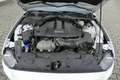 Ford Mustang Mustang Convertible Convertible 5.0 Ti-VCT V8 GT Weiß - thumbnail 22