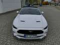 Ford Mustang Mustang Convertible Convertible 5.0 Ti-VCT V8 GT Weiß - thumbnail 6