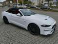 Ford Mustang Mustang Convertible Convertible 5.0 Ti-VCT V8 GT Weiß - thumbnail 1