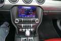 Ford Mustang Mustang Convertible Convertible 5.0 Ti-VCT V8 GT Weiß - thumbnail 16