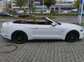 Ford Mustang Mustang Convertible Convertible 5.0 Ti-VCT V8 GT Weiß - thumbnail 8