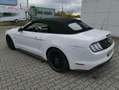 Ford Mustang Mustang Convertible Convertible 5.0 Ti-VCT V8 GT Weiß - thumbnail 4
