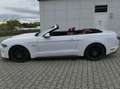 Ford Mustang Mustang Convertible Convertible 5.0 Ti-VCT V8 GT Weiß - thumbnail 7