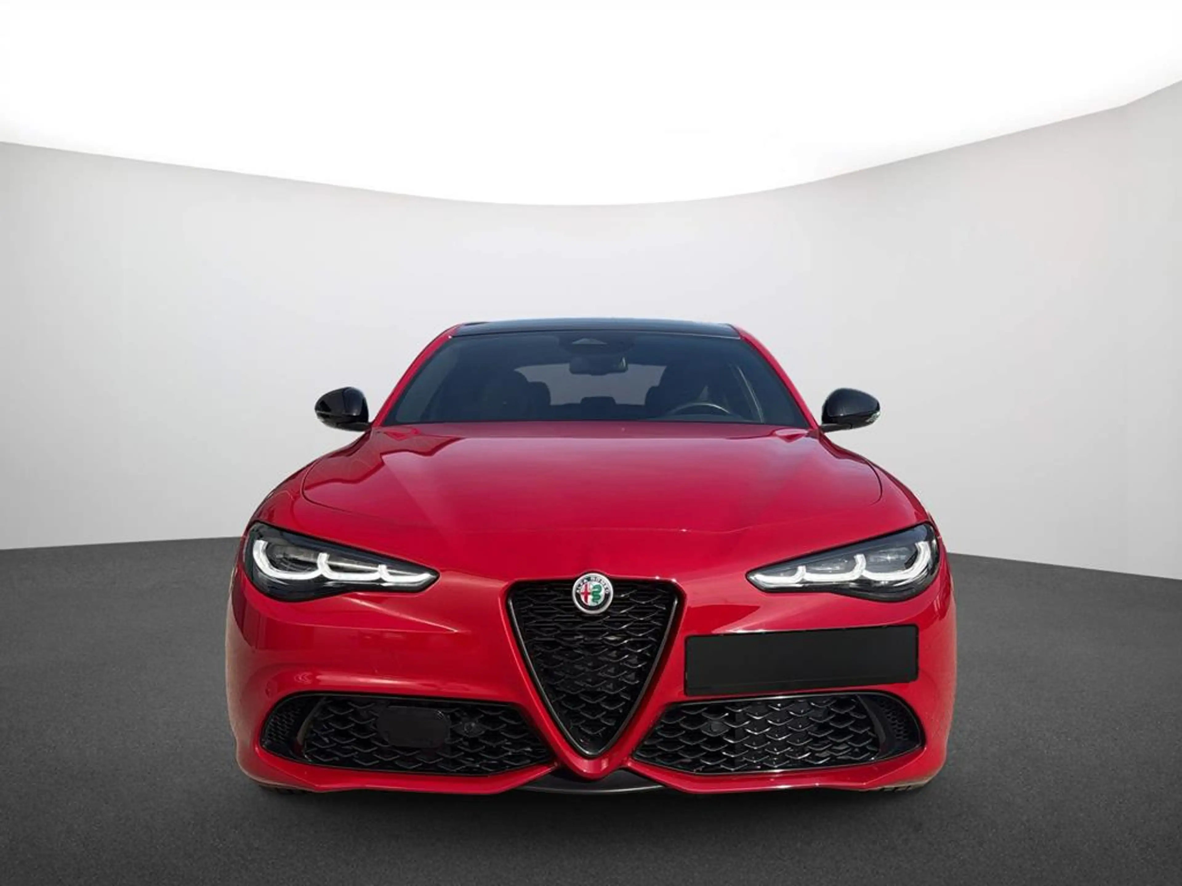 Alfa Romeo Giulia 2.0 Turbo 16V Tributo Italiano Q4 — photo 2