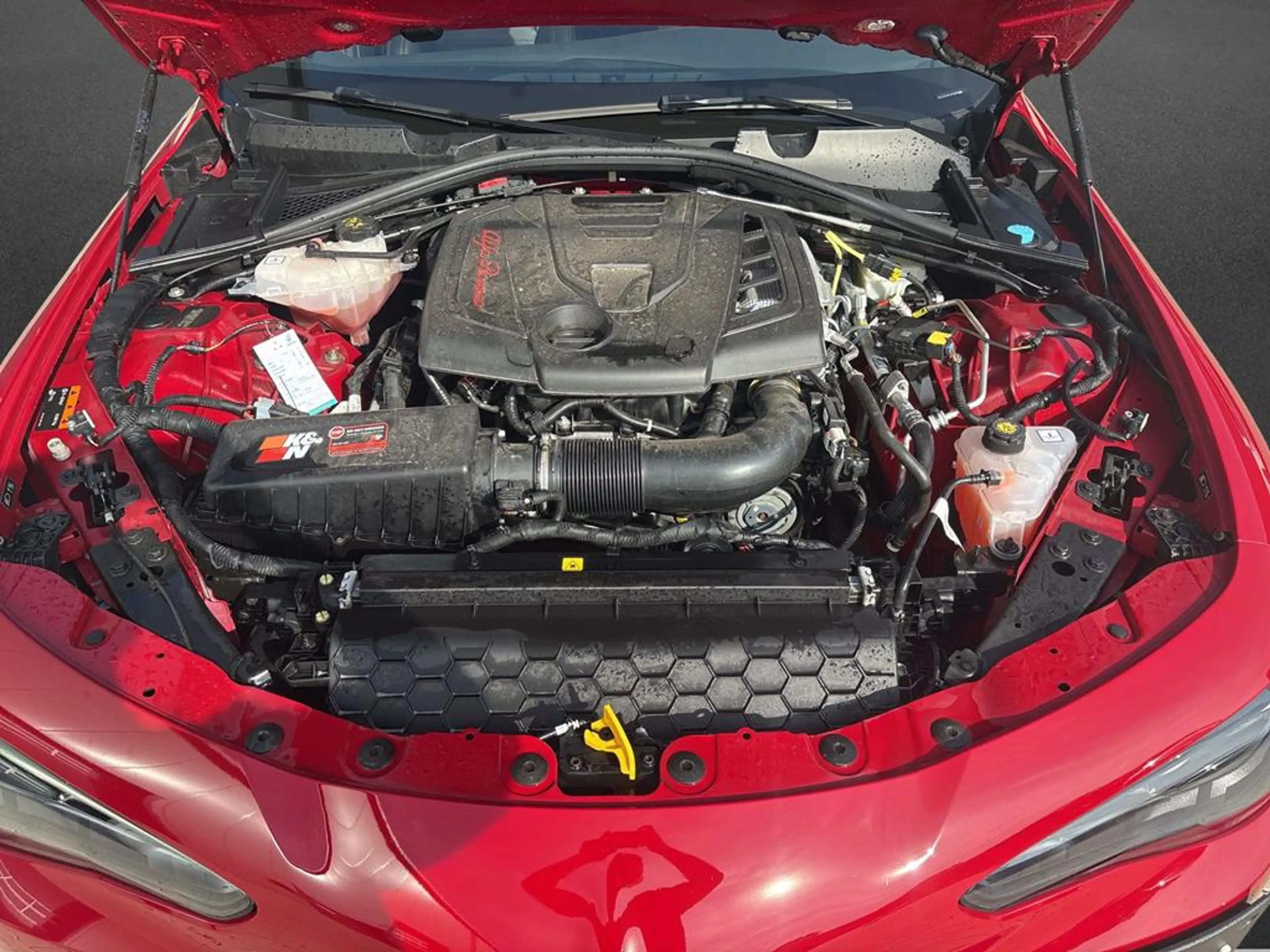 Alfa Romeo Giulia 2.0 Turbo 16V Tributo Italiano Q4 — photo 5