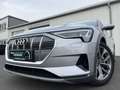 Audi e-tron 50 quattro advanced 169€ m. 20% Anzahlung AHK Vi Silber - thumbnail 1