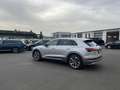 Audi e-tron 50 quattro advanced 169€ m. 20% Anzahlung AHK Vi Silber - thumbnail 8