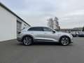Audi e-tron 50 quattro advanced 169€ m. 20% Anzahlung AHK Vi Silber - thumbnail 4
