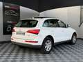 Audi Q5 Q5 2.0 TDI Clean Diesel 190 Quattro Ambiente Weiß - thumbnail 18