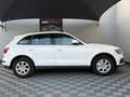 Audi Q5 Q5 2.0 TDI Clean Diesel 190 Quattro Ambiente Weiß - thumbnail 20