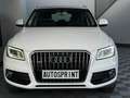 Audi Q5 Q5 2.0 TDI Clean Diesel 190 Quattro Ambiente Weiß - thumbnail 4