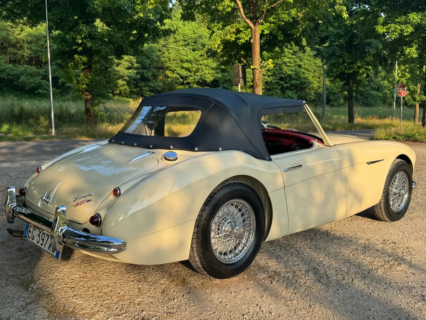 Austin-Healey 3000 AUSTIN HEALEY 3000 mk1 BT7 Beige - 2