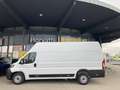 Fiat Ducato Ducato 35+ L4H3 BlueHDi 140 S&S Weiß - thumbnail 3