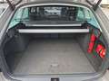 Skoda Octavia Combi 1.5 TSI ACT, DSG, Style Beige - thumbnail 12