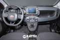 Fiat Panda 1.0 Firefly Hybrid 70CV Cross 5p.ti Rosso - thumbnail 8