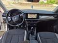 Skoda Kamiq 1.0 TSI Ambition Blanc - thumbnail 19