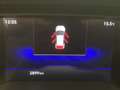 Volkswagen Polo 1.0 TSI Edition Plus Blu/Azzurro - thumbnail 13