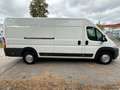 Fiat Ducato Maxi*L5H3*181TKM*TÜV NEU Weiß - thumbnail 8