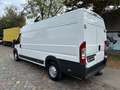 Fiat Ducato Maxi*L5H3*181TKM*TÜV NEU Weiß - thumbnail 4