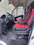 Fiat Ducato Maxi*L5H3*181TKM*TÜV NEU Weiß - thumbnail 11