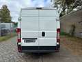 Fiat Ducato Maxi*L5H3*181TKM*TÜV NEU Weiß - thumbnail 5