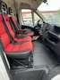 Fiat Ducato Maxi*L5H3*181TKM*TÜV NEU Weiß - thumbnail 12