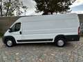 Fiat Ducato Maxi*L5H3*181TKM*TÜV NEU Weiß - thumbnail 7
