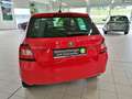 Skoda Fabia TSI 95 PS Drive/ALU/Clmtronic/GARANTIE - thumbnail 5