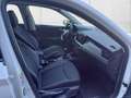 Skoda Kamiq TSI AHV/Carplay/ALU Weiß - thumbnail 20