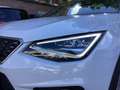 SEAT Arona Xcellence 1.0 TSI DSG AHK NAV APP LED PDC SHZ Weiß - thumbnail 5