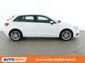 Audi A3 1.6 TDI Weiß - thumbnail 7