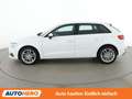 Audi A3 1.6 TDI Weiß - thumbnail 3