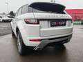 Land Rover Range Rover Evoque Range Rover Evoque TD4 150 BVA HSE Dynamic Weiß - thumbnail 4