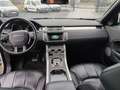 Land Rover Range Rover Evoque Range Rover Evoque TD4 150 BVA HSE Dynamic Weiß - thumbnail 11