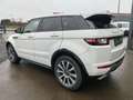 Land Rover Range Rover Evoque Range Rover Evoque TD4 150 BVA HSE Dynamic Weiß - thumbnail 5