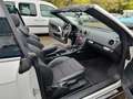 Audi A3 S line Sportpaket / plus Weiß - thumbnail 10