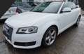 Audi A3 S line Sportpaket / plus Weiß - thumbnail 1