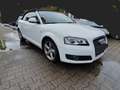 Audi A3 S line Sportpaket / plus Weiß - thumbnail 7