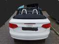 Audi A3 S line Sportpaket / plus Weiß - thumbnail 5