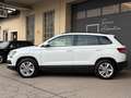 Skoda Karoq Ambition 4x4 2,0TDI AHK* LED* PDC* ab € 179,-* Weiß - thumbnail 3